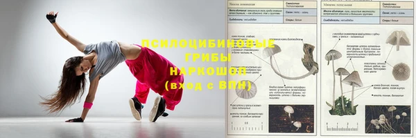 спайс Арсеньев